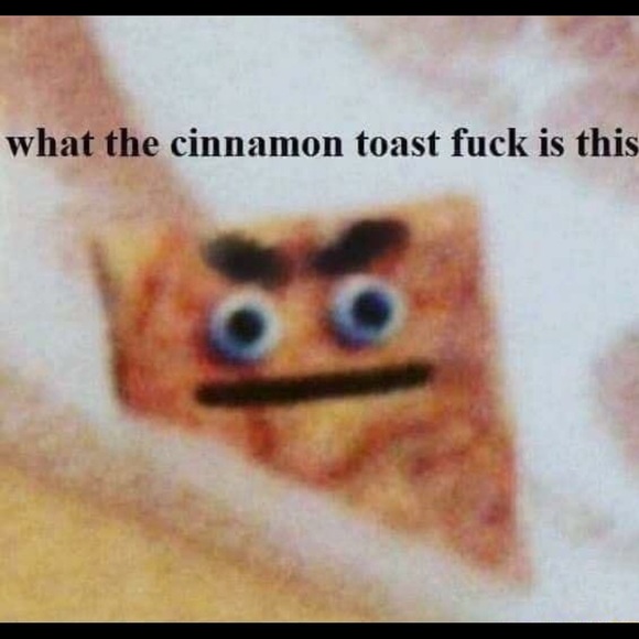 Meet your Posher, Annamal - Picture 1 of 10